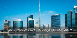 فرص العمل في دبي