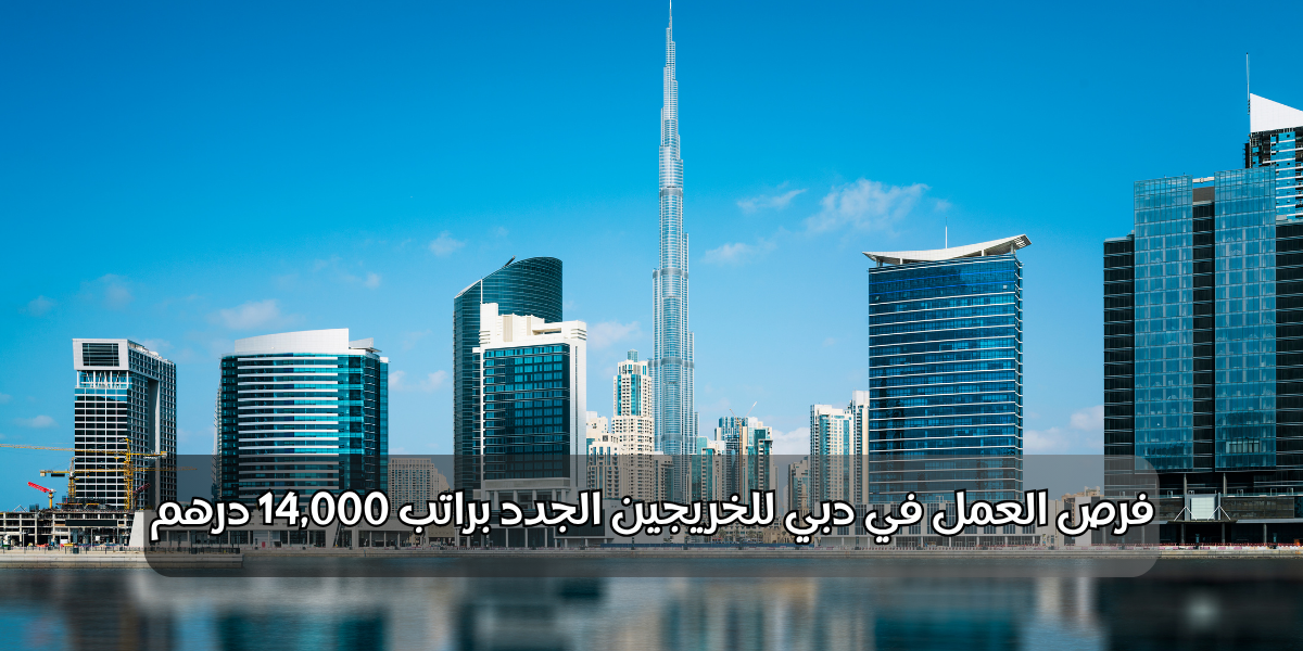 فرص العمل في دبي للخريجين الجدد براتب 14,000 درهم